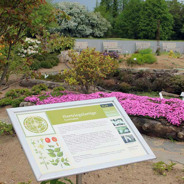 Biozentrum Klein Flottbek und Botanischer Garten